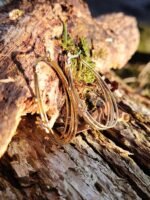 Boucles d’oreilles dorées 4 anneaux & étoiles strassées – Image 6