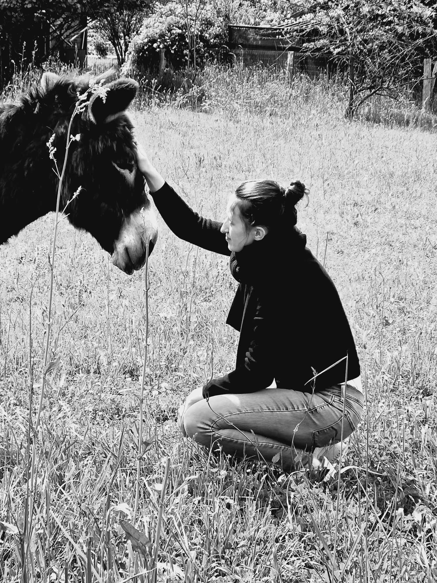 cropped-370104284_962021914905292_5026487665032836202_n-1.jpg Séance pour animal – Image 1