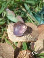 Amétrine – Image 6