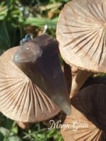 Pendule pierre de lune noire – Image 5