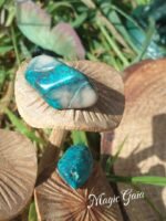 Chrysocolle – Image 4