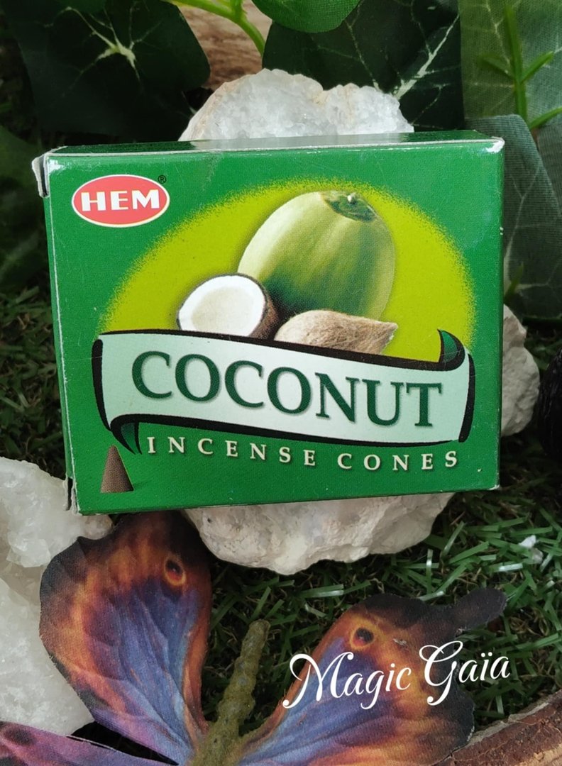 a397d5f1-b27e-411c-bef1-4b1532f34df7.jpeg Encens noix de coco cônes – Image 1