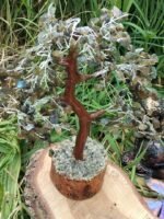 Arbre labradorite – Image 4