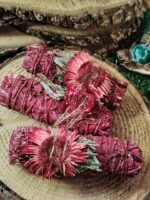 Bâton de fumigation sauge blanche sang de dragon