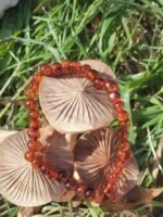Bracelet ambre – Image 3