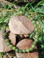 Bracelet jade du canada - 6 mm – Image 3