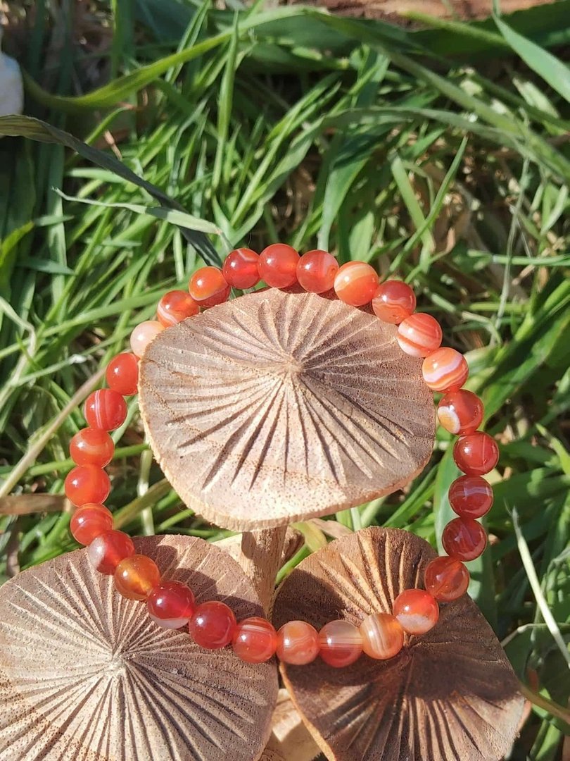 bracelet-mixte-en-cornaline-naturelle-pose-sur-des-champignons-decoratifs-perles-orange-pour-la-lithotherapie-concentration-vitalite-et-protection-energetique.jpeg Bracelet cornaline - 6 mm – Image 1