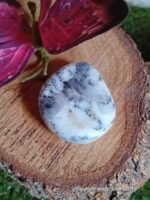 Galet calcedoine dendritique