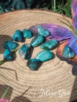 Chrysocolle