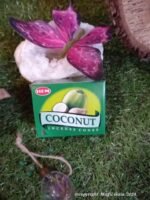 Encens noix de coco cônes – Image 6