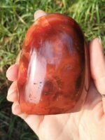 Forme libre cornaline – Image 3