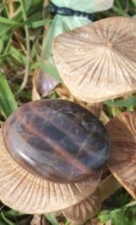 Galet pierre de lune noire