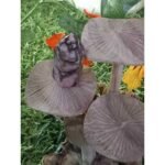 Pointe de rhodonite – Image 5