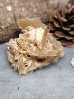 Rose des sables – Image 3