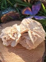 Rose des sables – Image 6