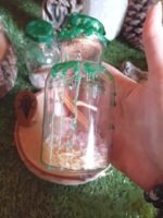 Spell jar abondance noeud de sorcière création magic gaïa – Image 3