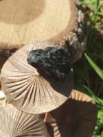 Tourmaline noire brute